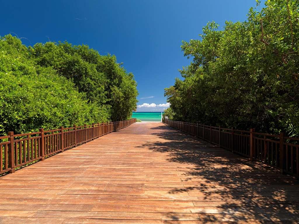The Reserve Paradisus Playa Del Carmen (Adults Only) Naturaleza foto