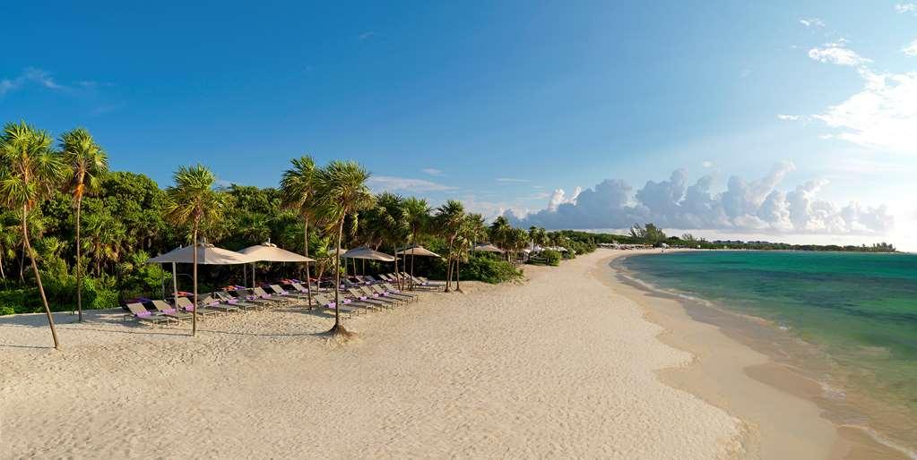 The Reserve Paradisus Playa Del Carmen (Adults Only) Naturaleza foto